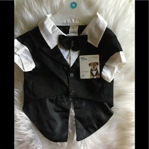 Wedding Tux and Gown for Dogs